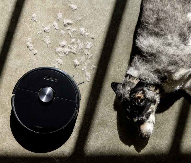 a robot vacuum sweeping up pet hair while a dog sleeps