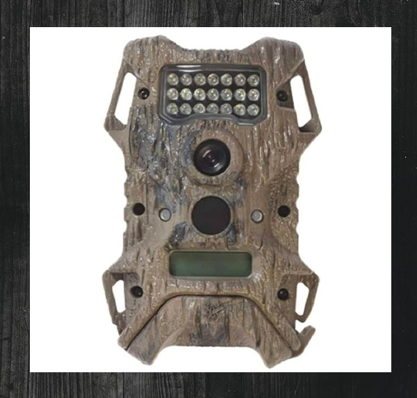 an outdoor game and trail camera