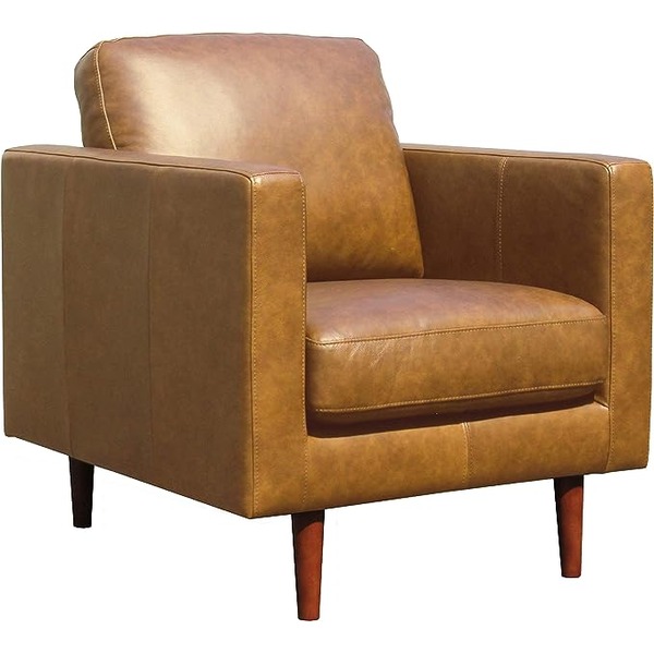 a leather armchair