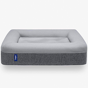 a large memory foam dog bed
