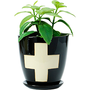 a stoneware planter with saucer and swiss cross design