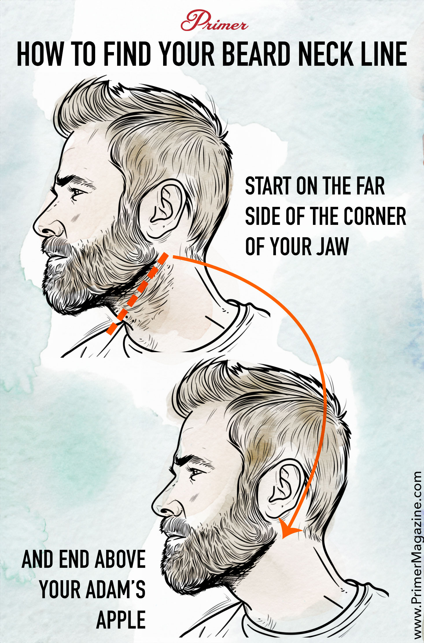 Illustrated guide on how to find the appropriate neckline for a beard. Two side profile drawings of a man with a beard are featured. The top image shows a dotted line marking the start of the neckline on the far side of the jaw corner. The bottom image shows an orange line curving from the start point around the neck to end above the Adam's apple. Text instructions accompany each step. The background is a watercolor wash in blue and white. The logo of 'Primer' is at the top